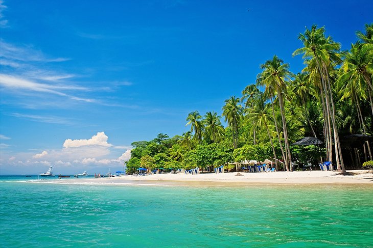 Palm lined Tortuga Island