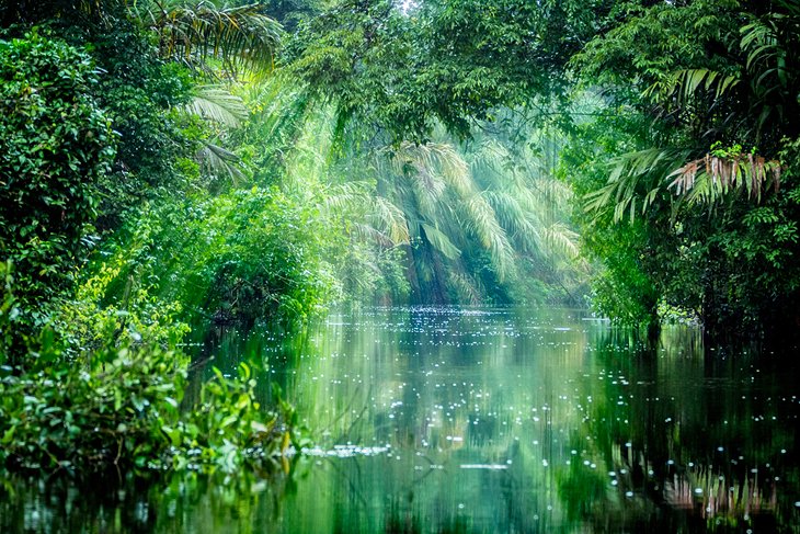 Tortuguero National Park