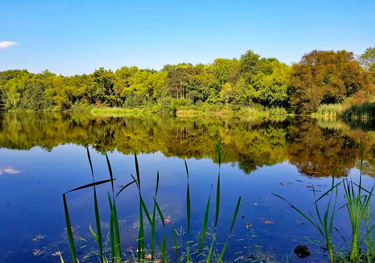 Bellevue State Park