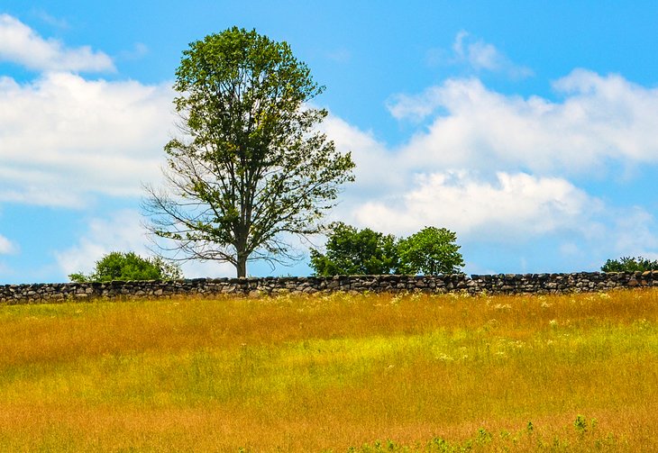 Brandywine Creek State Park