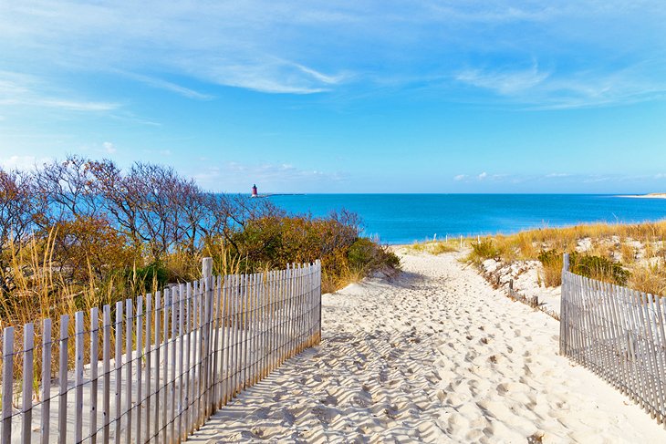 Delaware Seashore State Park