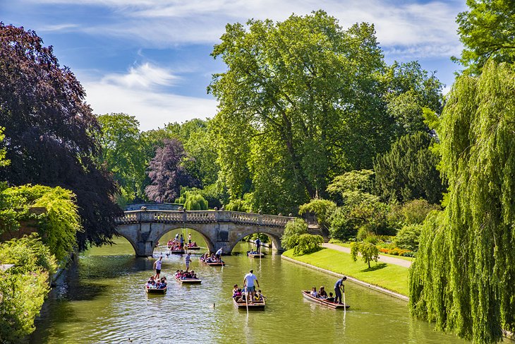 Punts on the River Cam in Cambridge