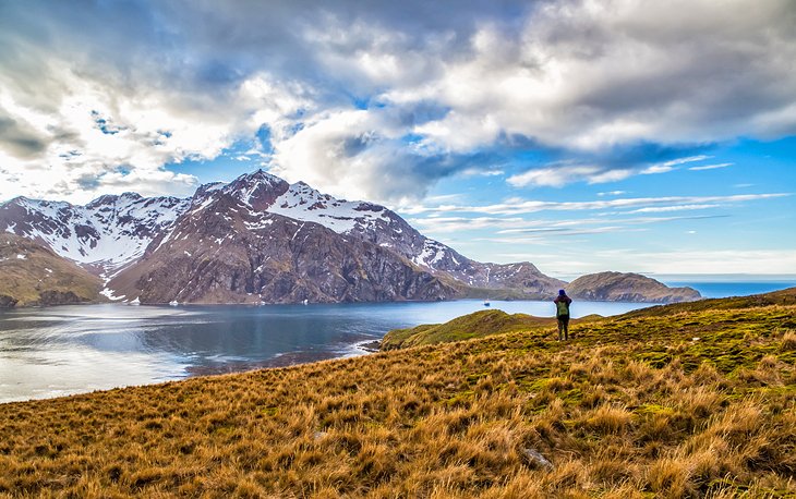 Jason Harbor, South Georgia Island