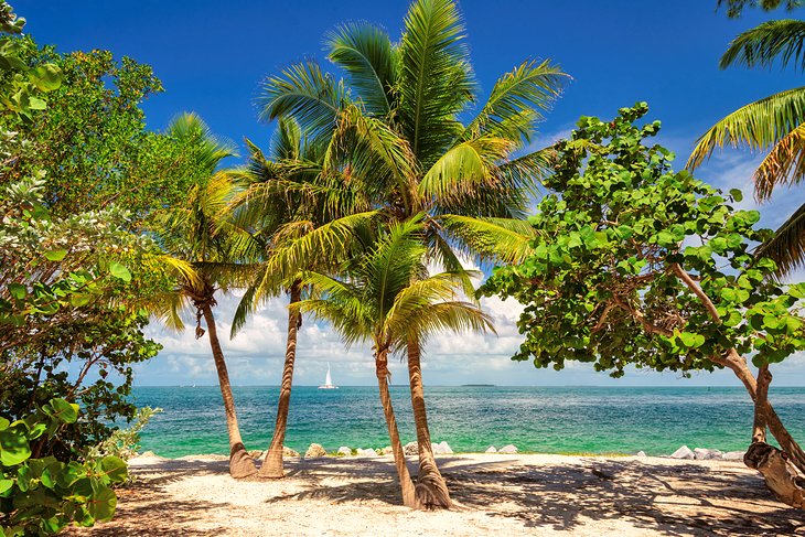 Tropical beach in Key West