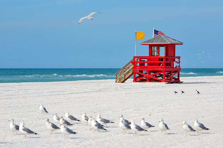 Lifeguard tower and seagulls on the beach near Sarasota