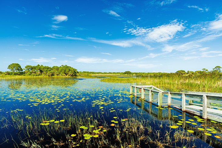 Nature preserve in Port St. Lucie, Florida