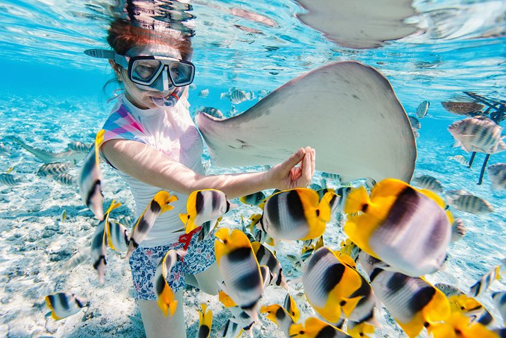 Woman snorkeling with tropical fish in the Bora Bora lagoon