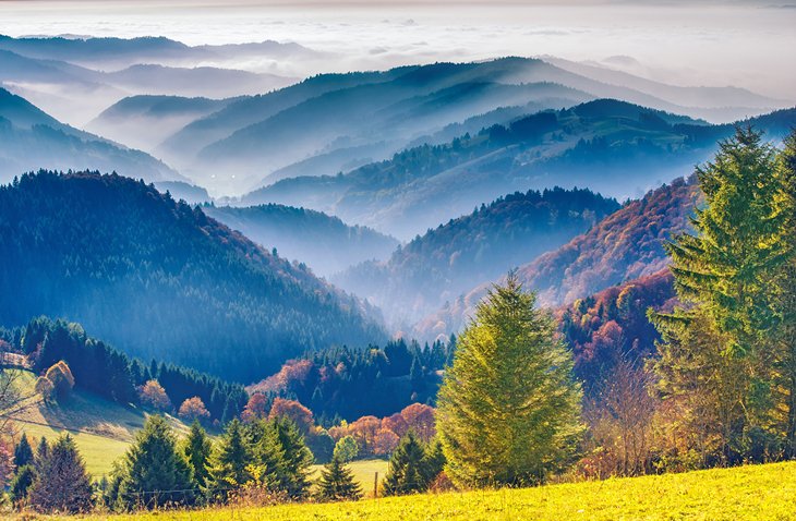 View over the Black Forest