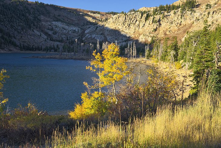 15 lagos mejor valorados en Idaho