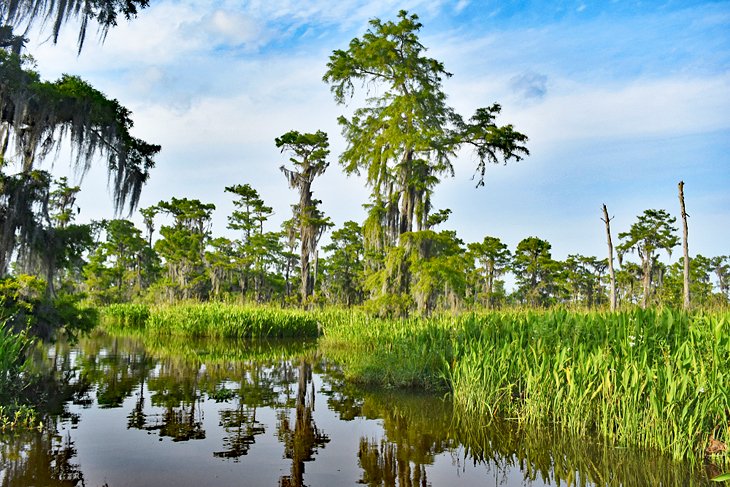 Louisiana en imágenes: 15 hermosos lugares para fotografiar