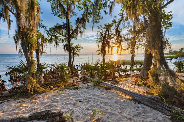 Beach on Lake Pontchartrain at Fontainebleau State Park