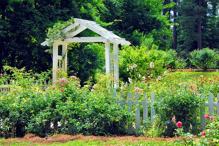 The Gardens at the American Rose Center