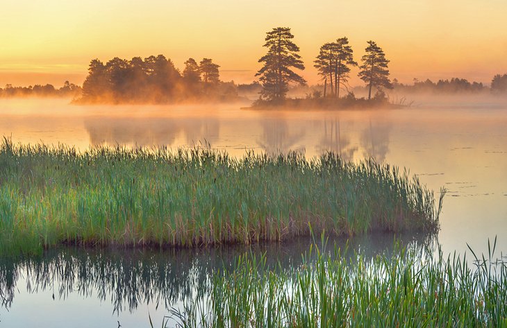 Seney National Wildlife Refuge