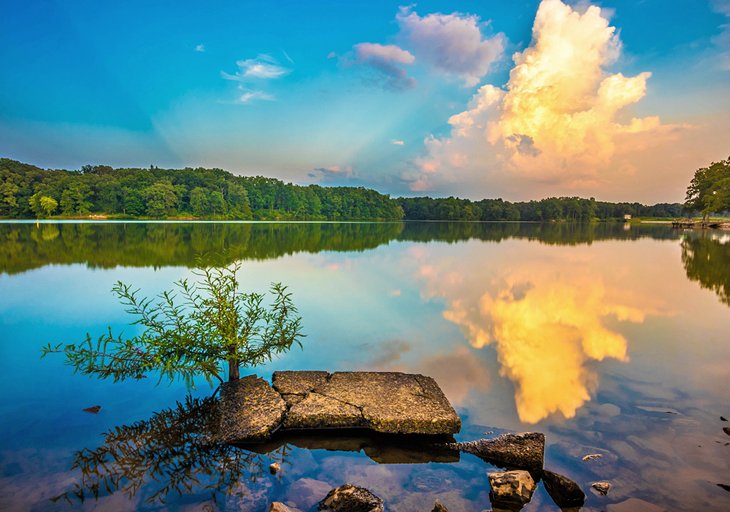 Lake Lamar Bruce