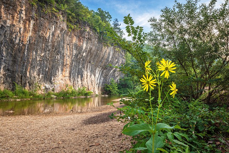 Echo Bluff State Park