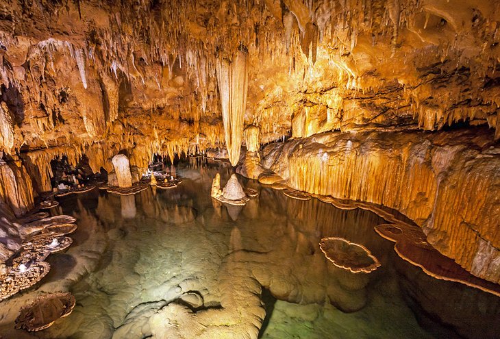 Lily Pad Room in Onondaga Cave