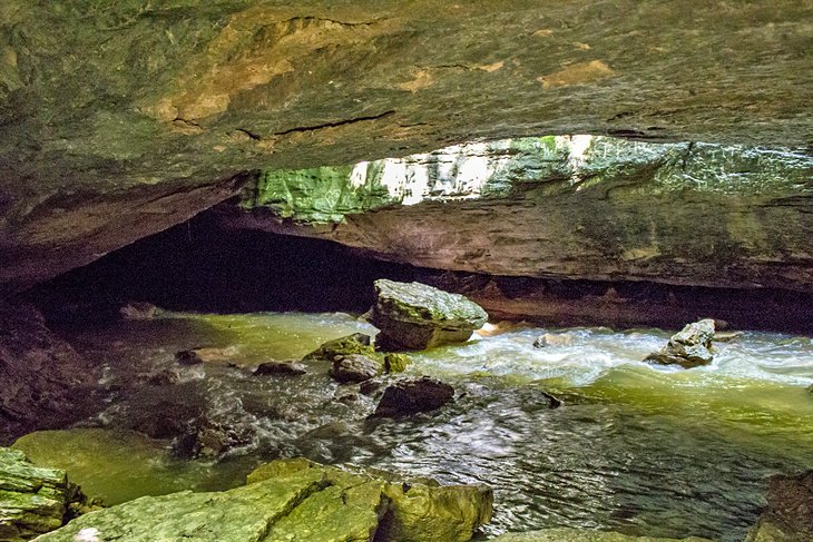 Rock Bridge Memorial State Park