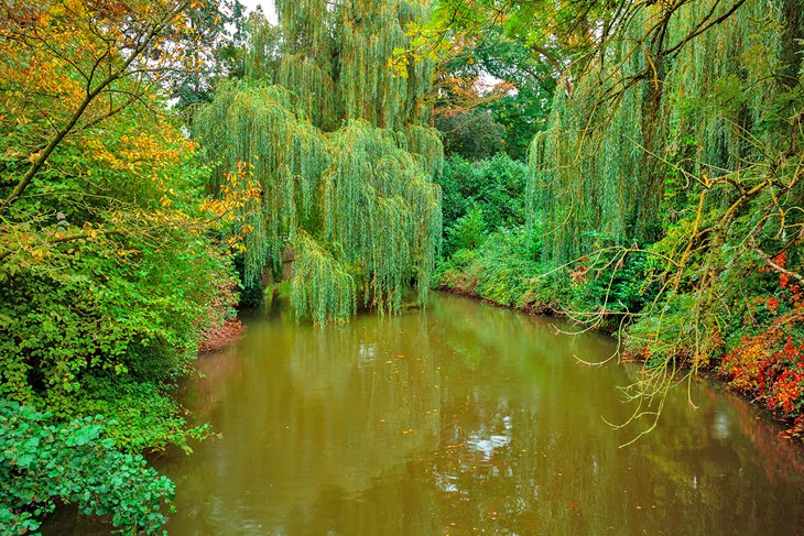 Lush city park in Eindhoven