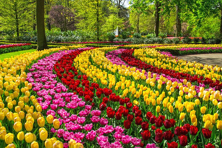 Keukenhof