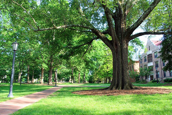 University campus in Chapel Hill