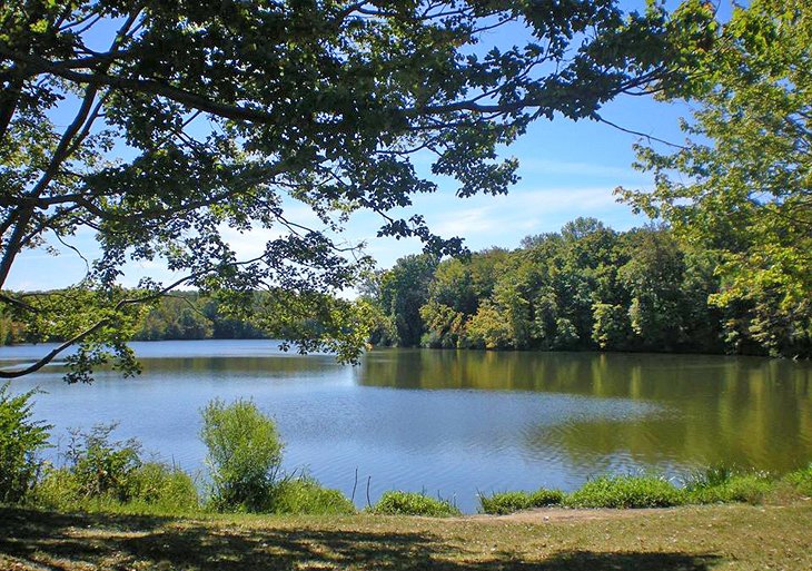 East Fork Lake