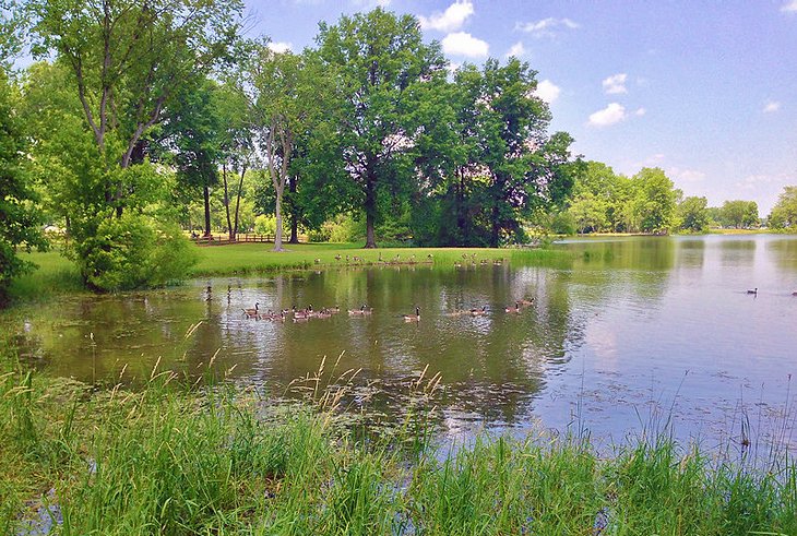 Mosquito Creek Lake