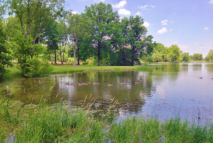 14 mejores lagos en Ohio: natación, barco y pesca 14 mejores lagos en Ohio: natación, barco y pesca