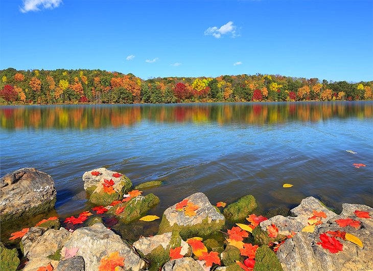 Salt Fork Lake in the fall