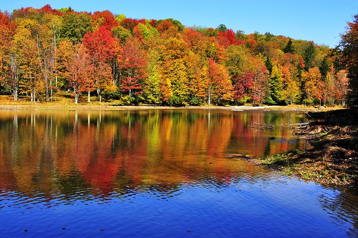 Fall colors at Summit Lake, Allegheny National Forest