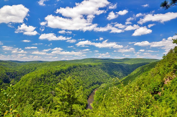 Pine Creek Gorge