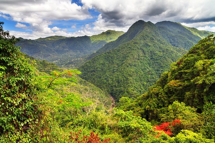 El Yunque National Forest