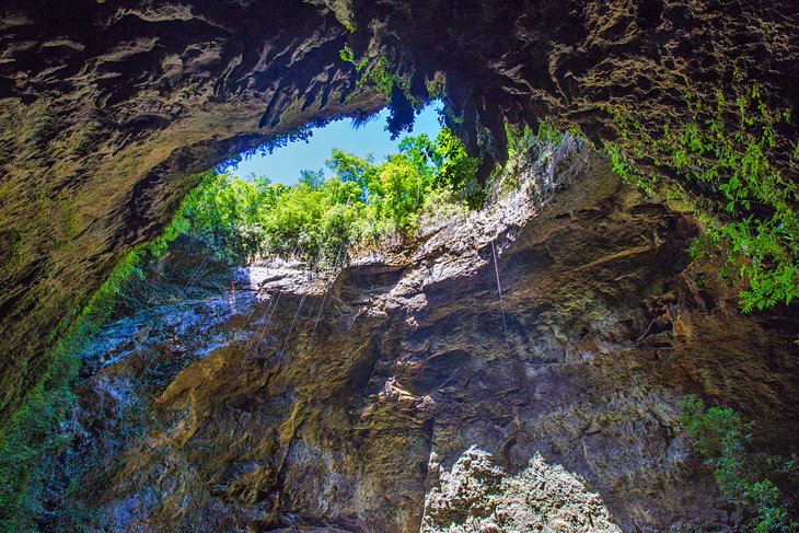 Rio Camuy Cave Park