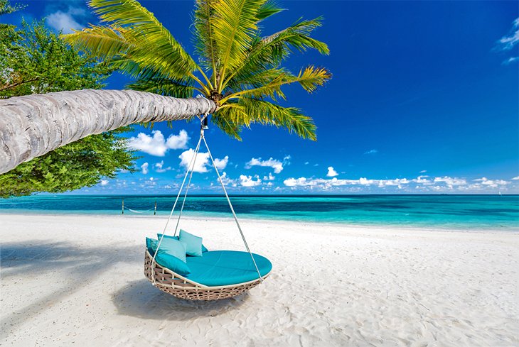 Swing on the beach in the Seychelles