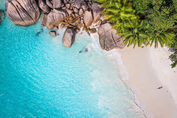 Aerial view of a pristine beach in the Seychelles