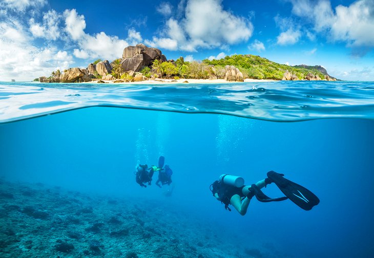 Divers in the Seychelles