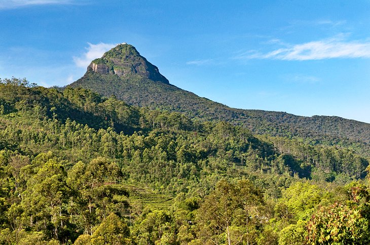 Adam's Peak