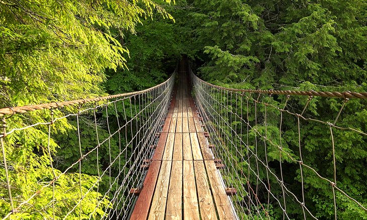 Pont suspendu dans le parc d'État de Fall Creek Falls