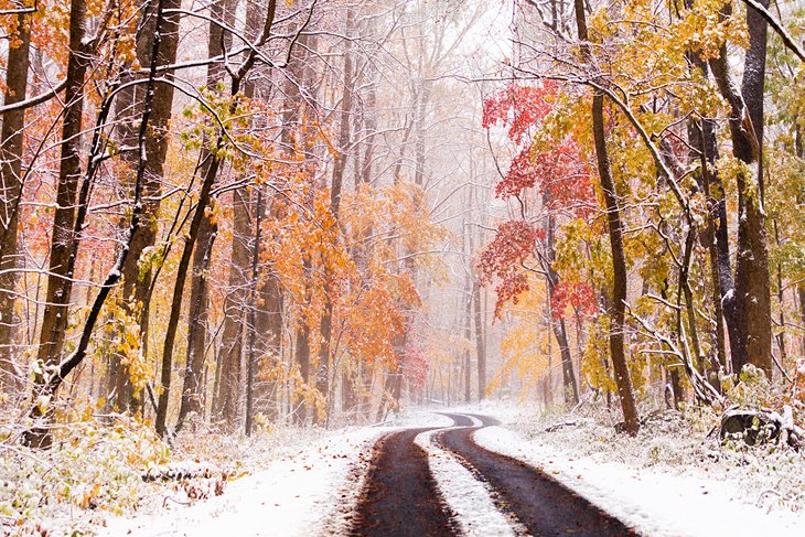 Early snowfall on a Tennessee mountain road