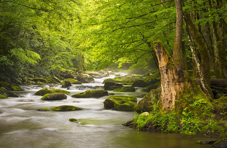 Tremont River near Gatlinburg, TN