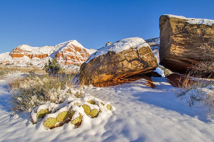 Palo Duro Canyon State Park covered in snow