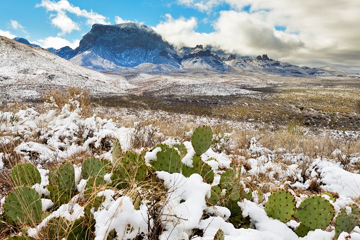 Snow in Big Bend National Park