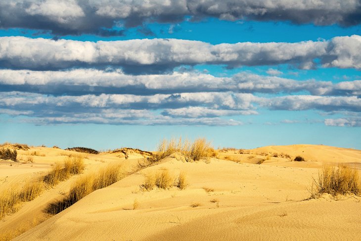 Monahans Sandhills State Park