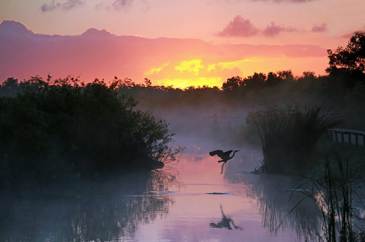 Sunrise in Everglades National Park