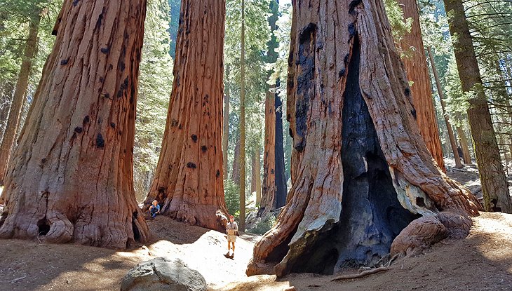 Sequoia National Park