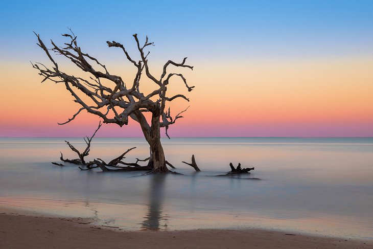 Driftwood Beach on Jekyll Island