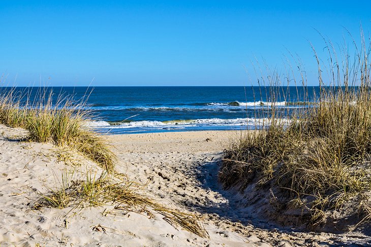 Sandbridge Beach in Virginia Beach