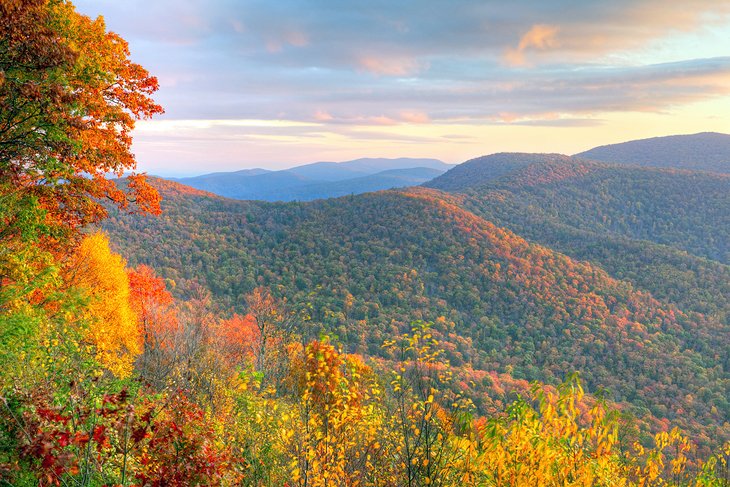 Fall in Shenandoah National Park