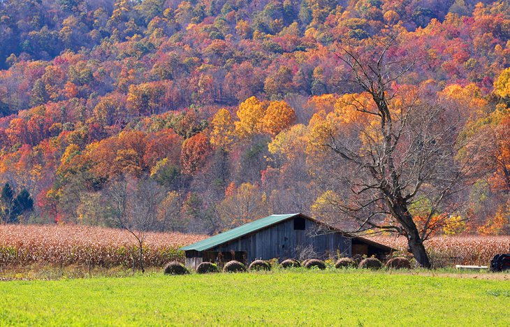 Fall in the Appalachian Farmland