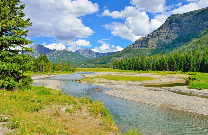 Mejor época para visitar el Parque Franquista de Yellowstone