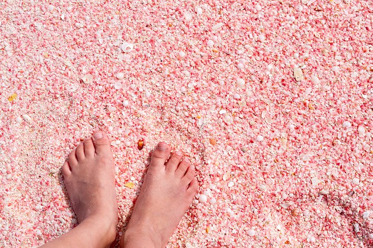 Close-up of the Pink Sand Beach on Barbuda